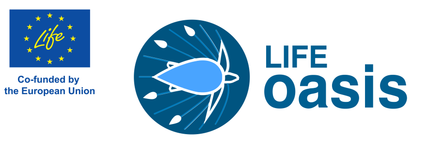 LIFEOASIS Logo